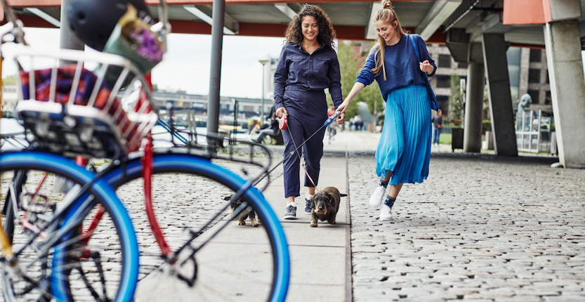 Mehr über den Artikel erfahren Wie viel Sinn macht Marken-Sinn?