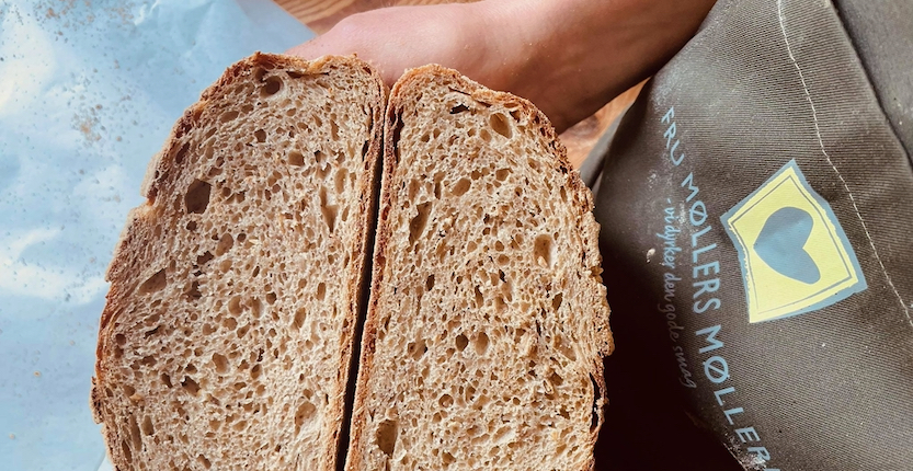 Mehr über den Artikel erfahren Die Kuh als Touchpoint: Die Erlebnis-Landwirtschaft wird Marke