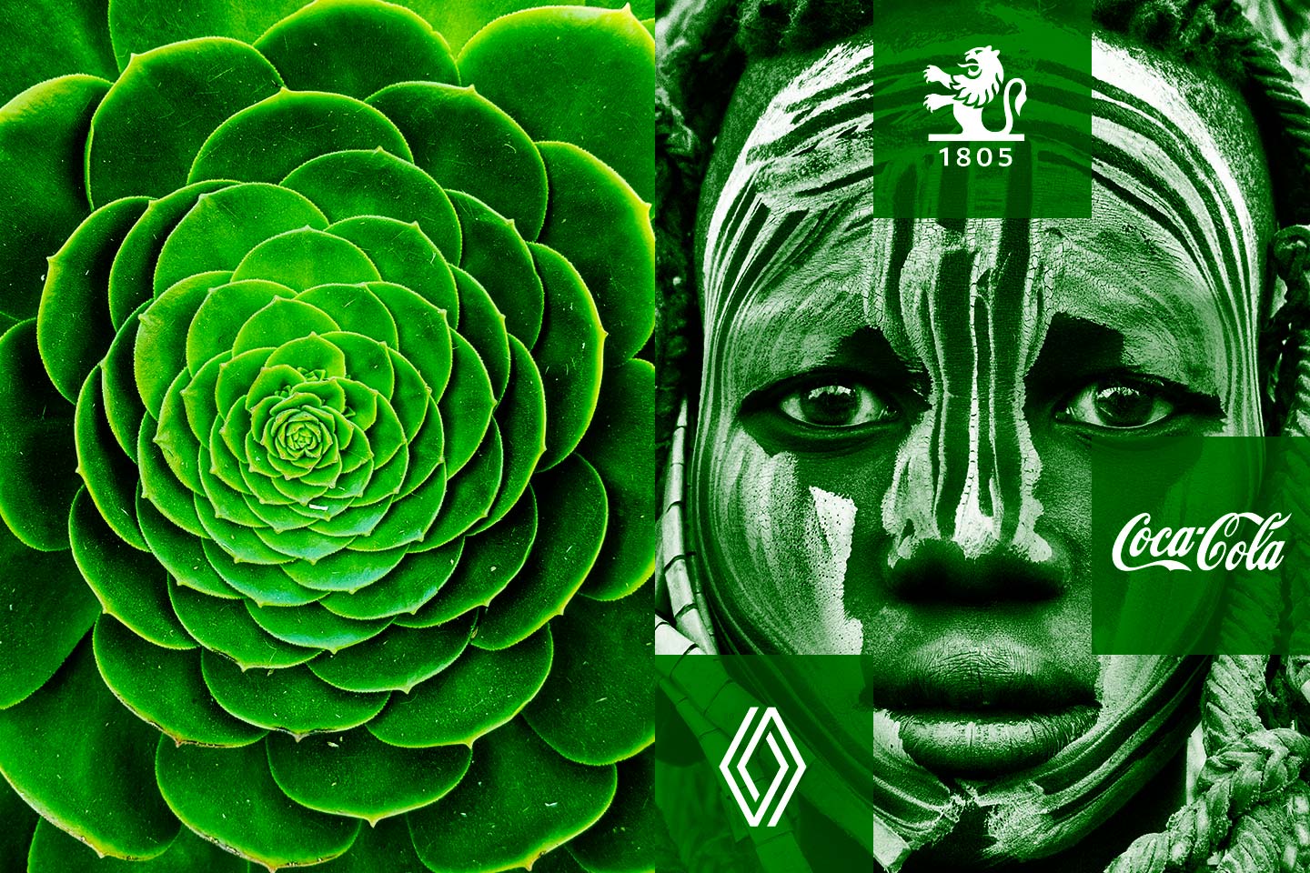 Mehr über den Artikel erfahren Selbstähnliche Markenführung: Die Natur macht es vor.